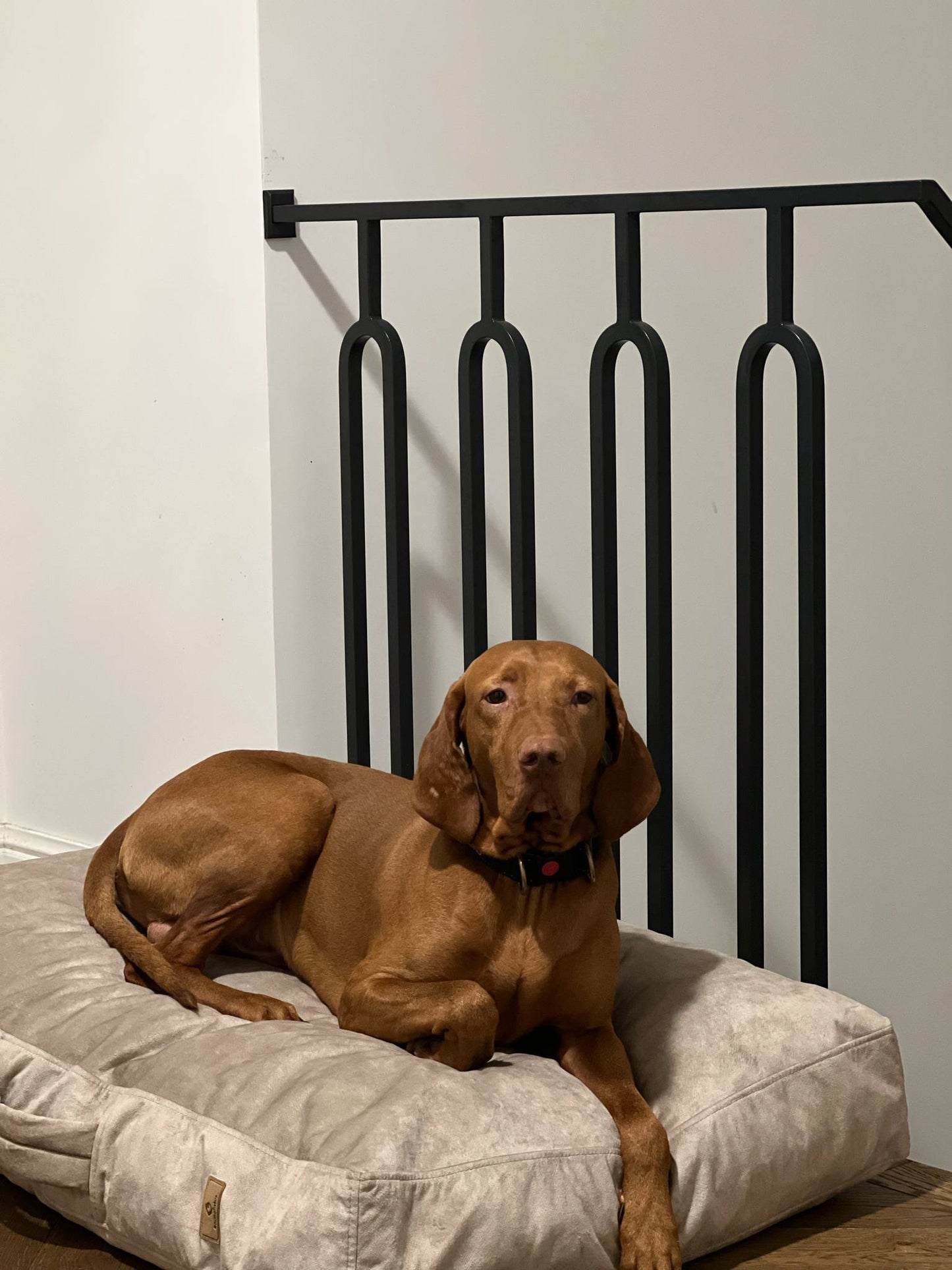 BEIGE dog cushion bed | 2-sided
