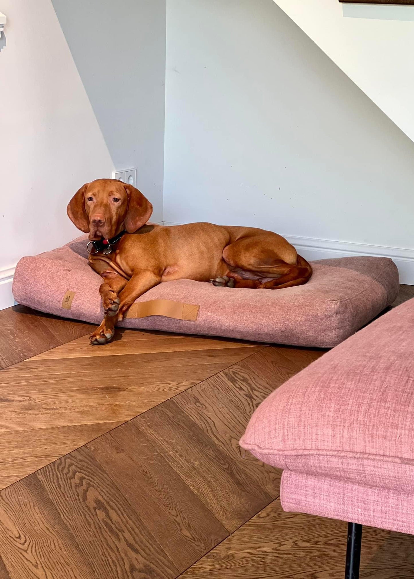 Scandinavian design dog bed | 2-sided | CHESTNUT RED