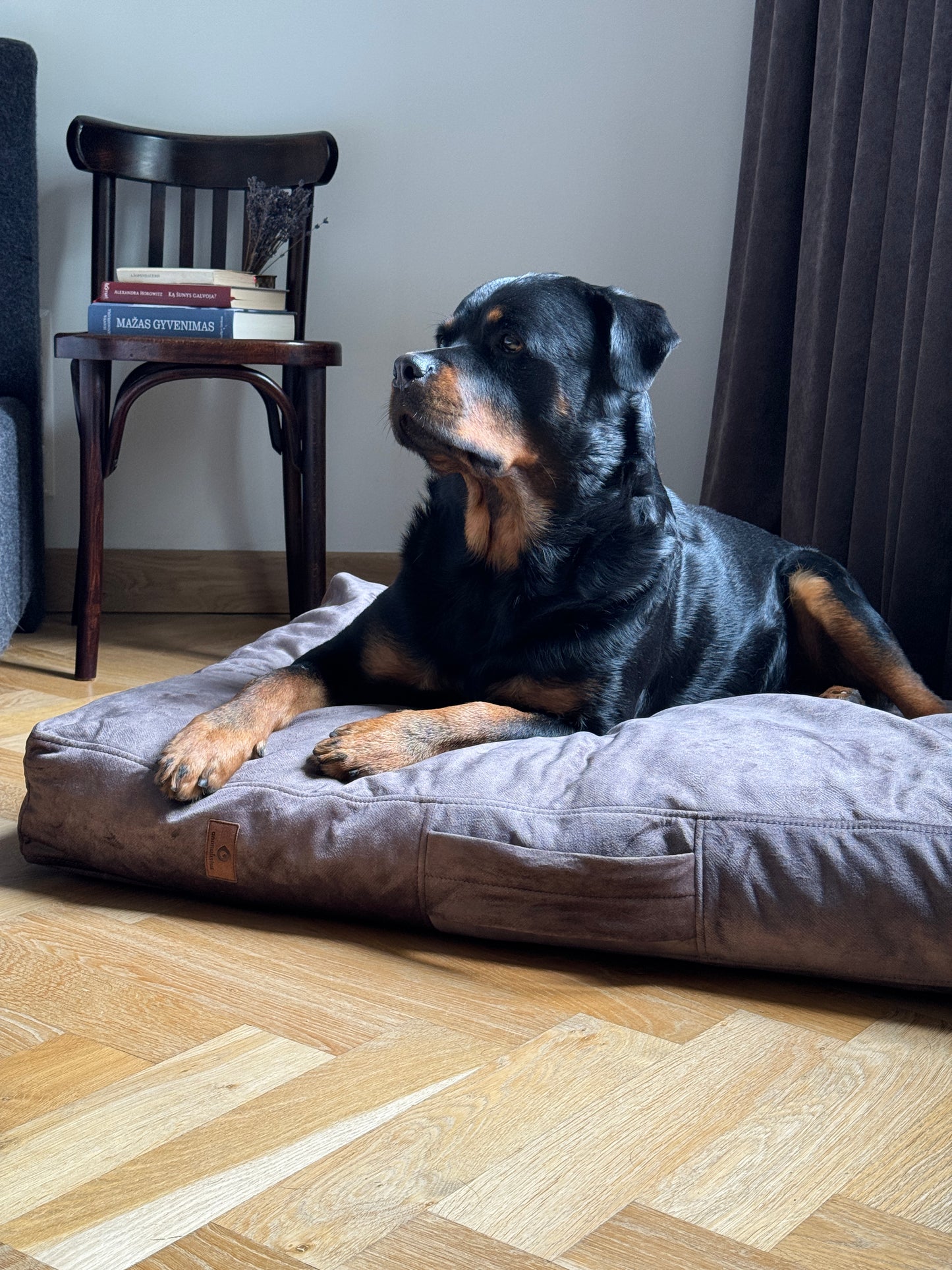 TAUPE dog cushion bed | 2-sided