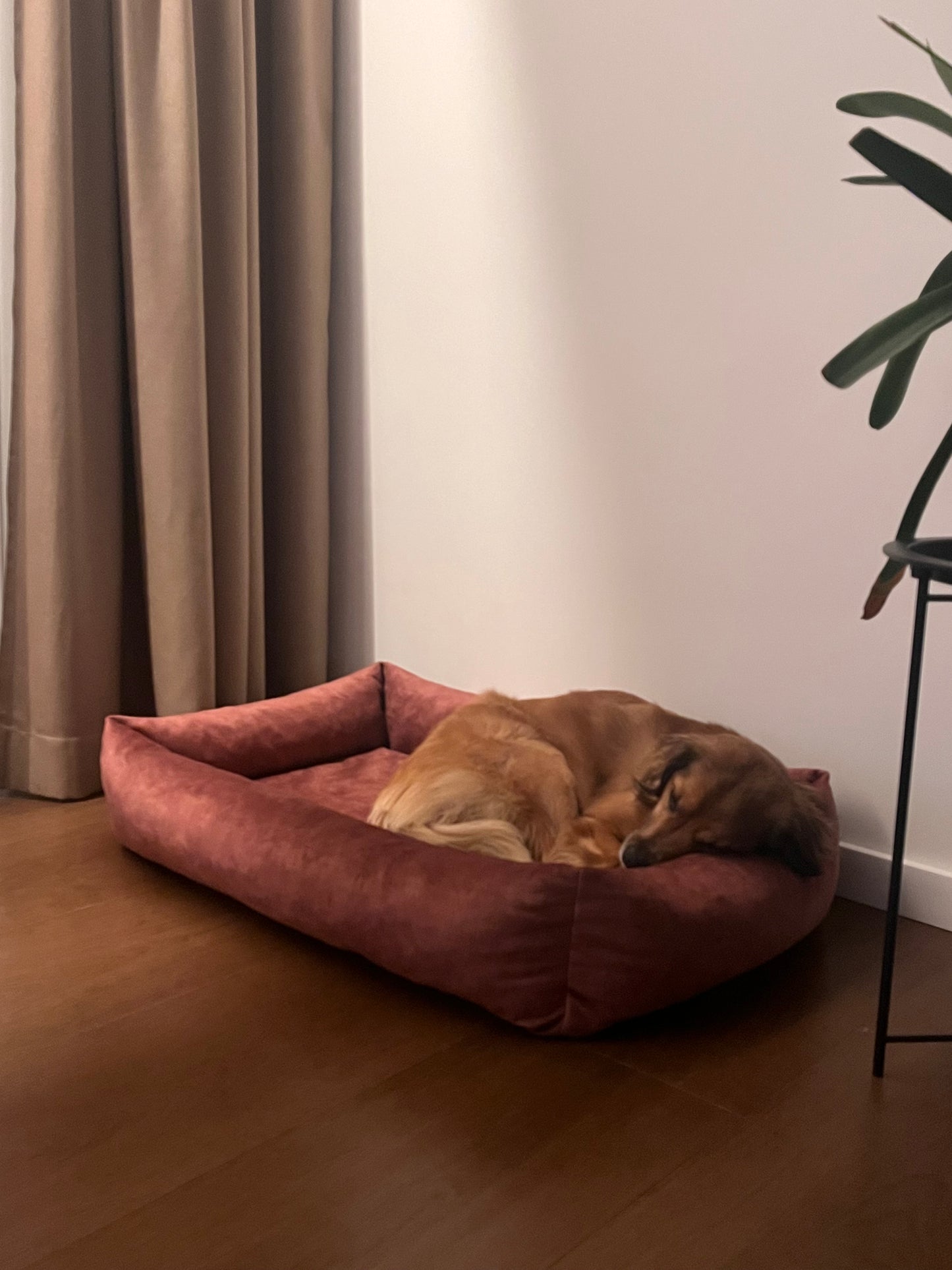 TERRACOTTA bolster dog bed | 2-sided