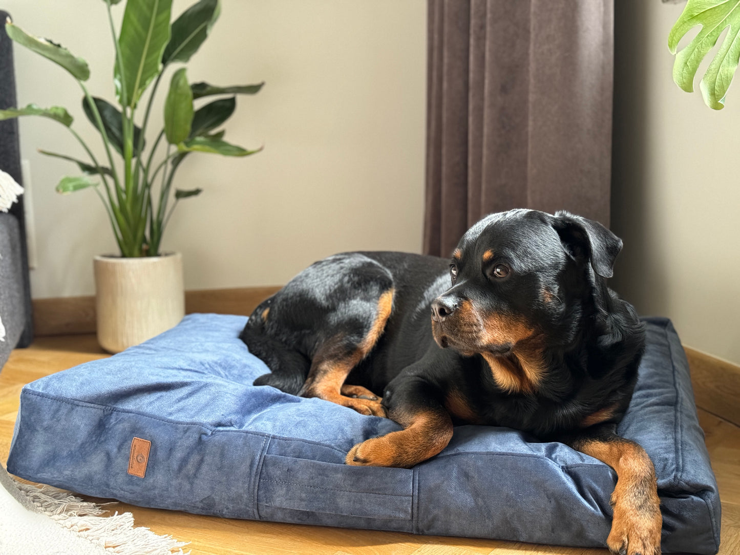SKY BLUE dog cushion bed | 2-sided