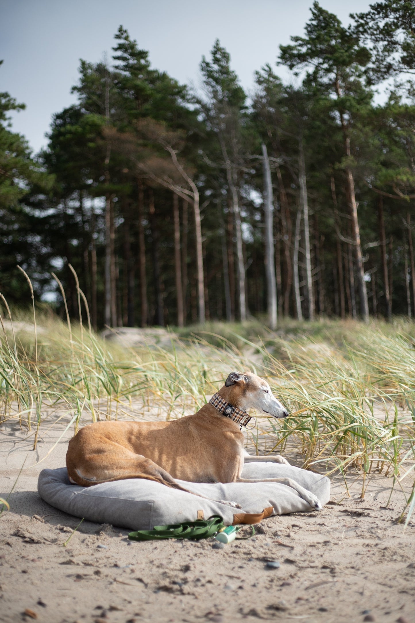 Scandinavian design dog bed | 2-sided | LIGHT BEIGE