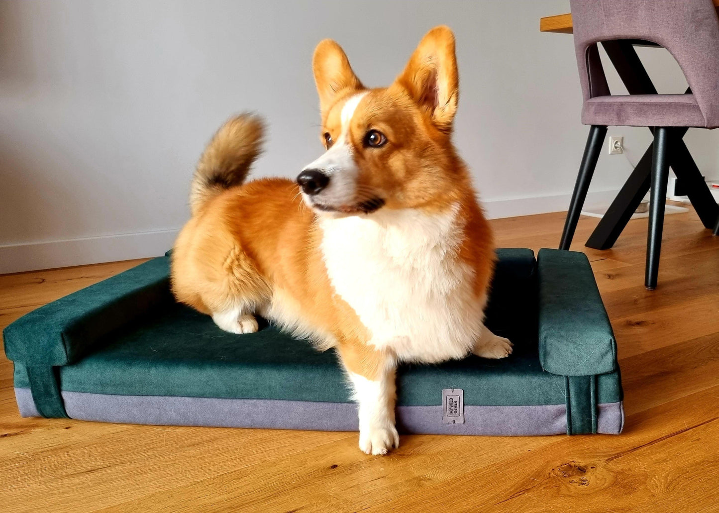 Transformer dog bed | Extra comfort & support | 2-sided | MOSS GREEN+STEEL GREY - premium dog goods handmade in Europe by animalistus