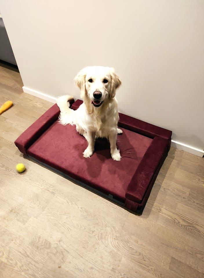Transformer dog bed | Extra comfort & support | 2-sided | WINE RED+STEEL GREY - premium dog goods handmade in Europe by animalistus