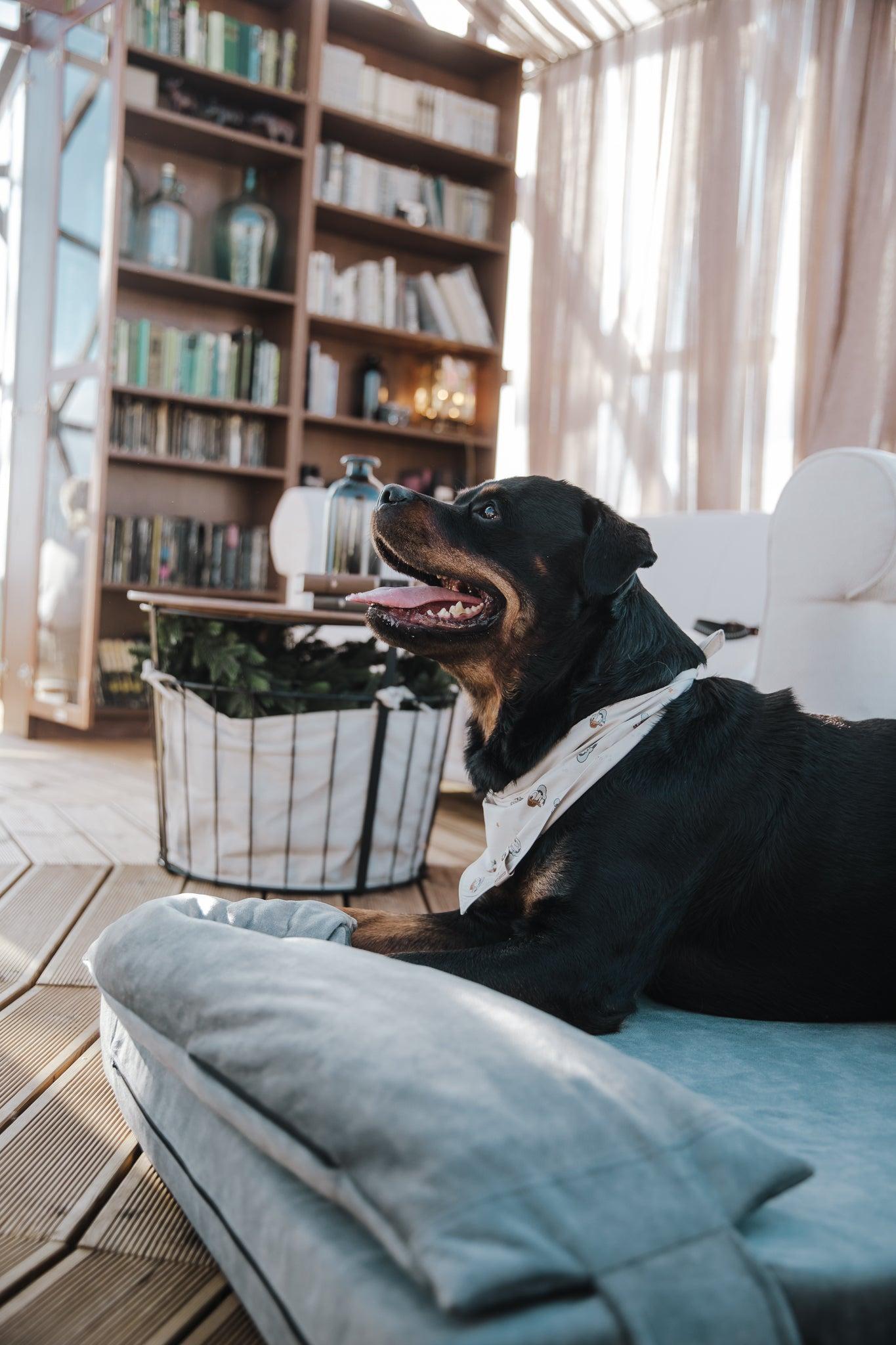 Dog's bedroom bed | ComfySupport+ | 2-sided | METAL GREY | animalistus