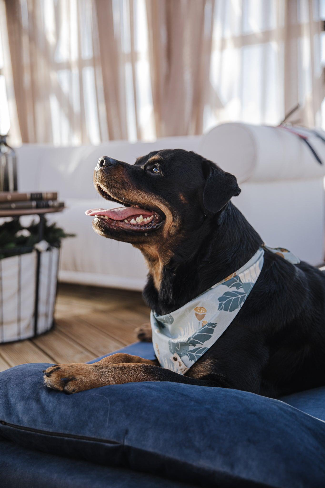 2-sided extra large & supportive dog bed. SKY BLUE - premium dog goods handmade in Europe by My Wild Other