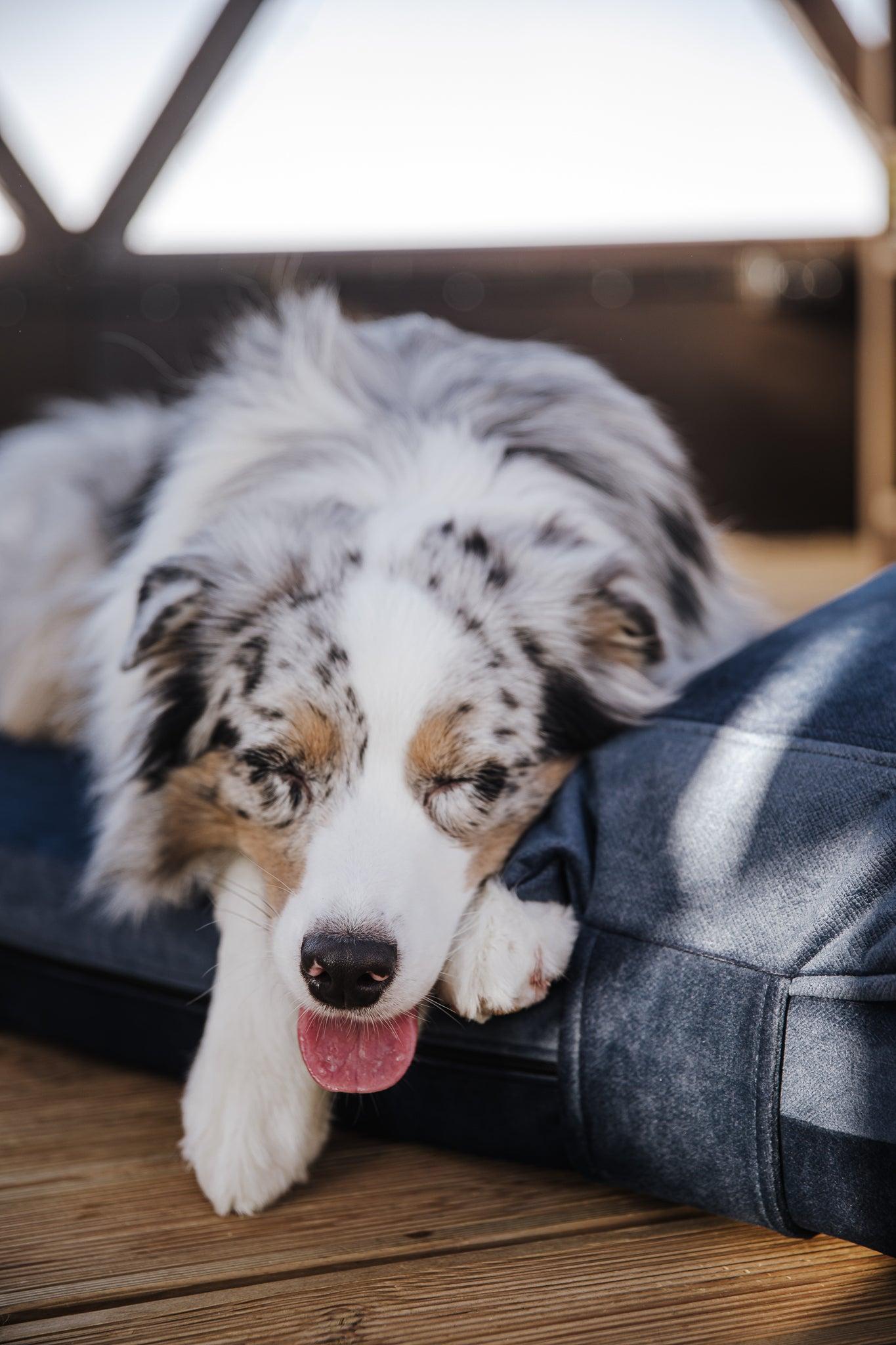 2-sided extra large & supportive dog bed. SKY BLUE - premium dog goods handmade in Europe by My Wild Other