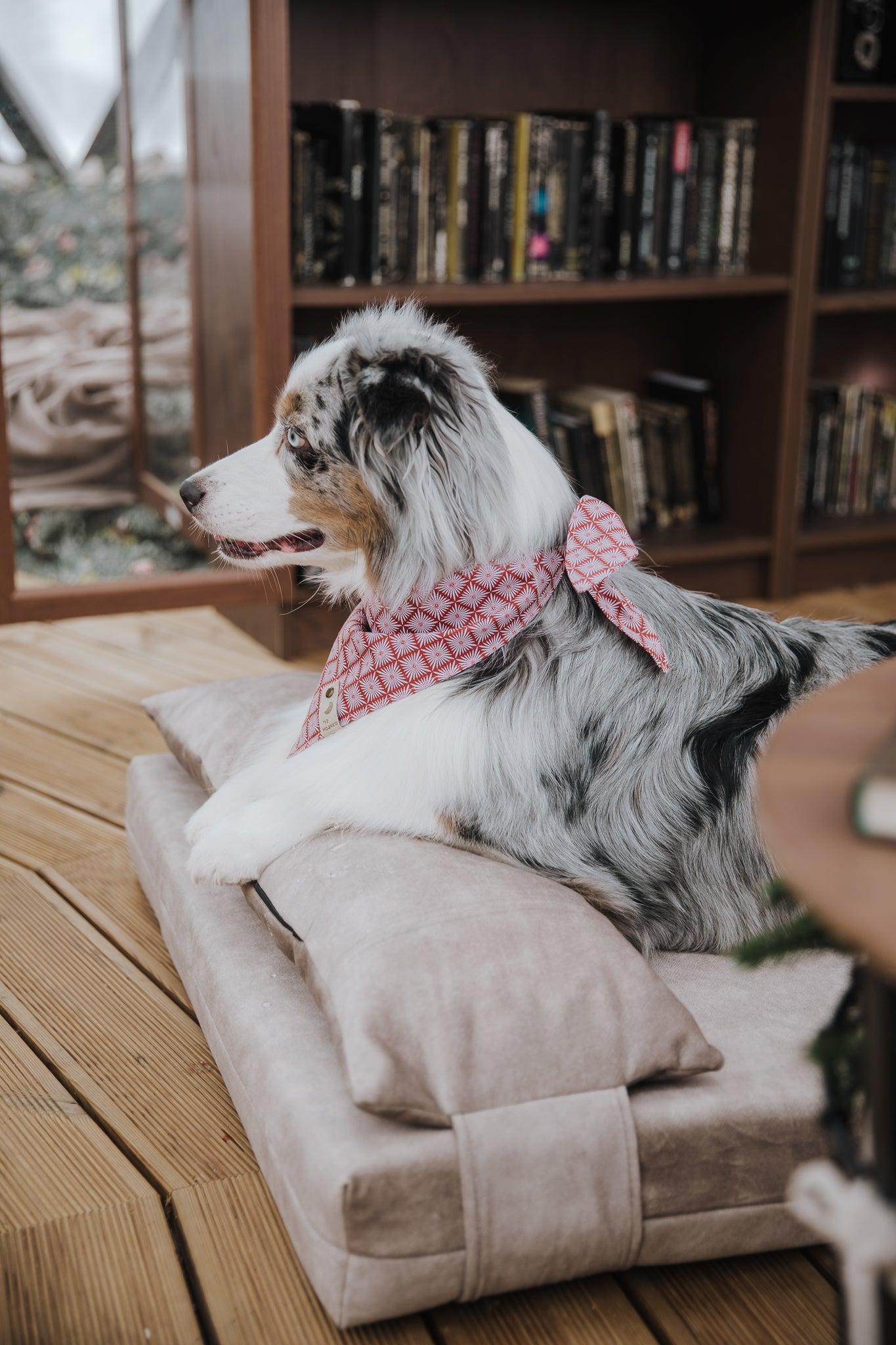 2-sided extra large & supportive dog bed. BEIGE - premium dog goods handmade in Europe by My Wild Other