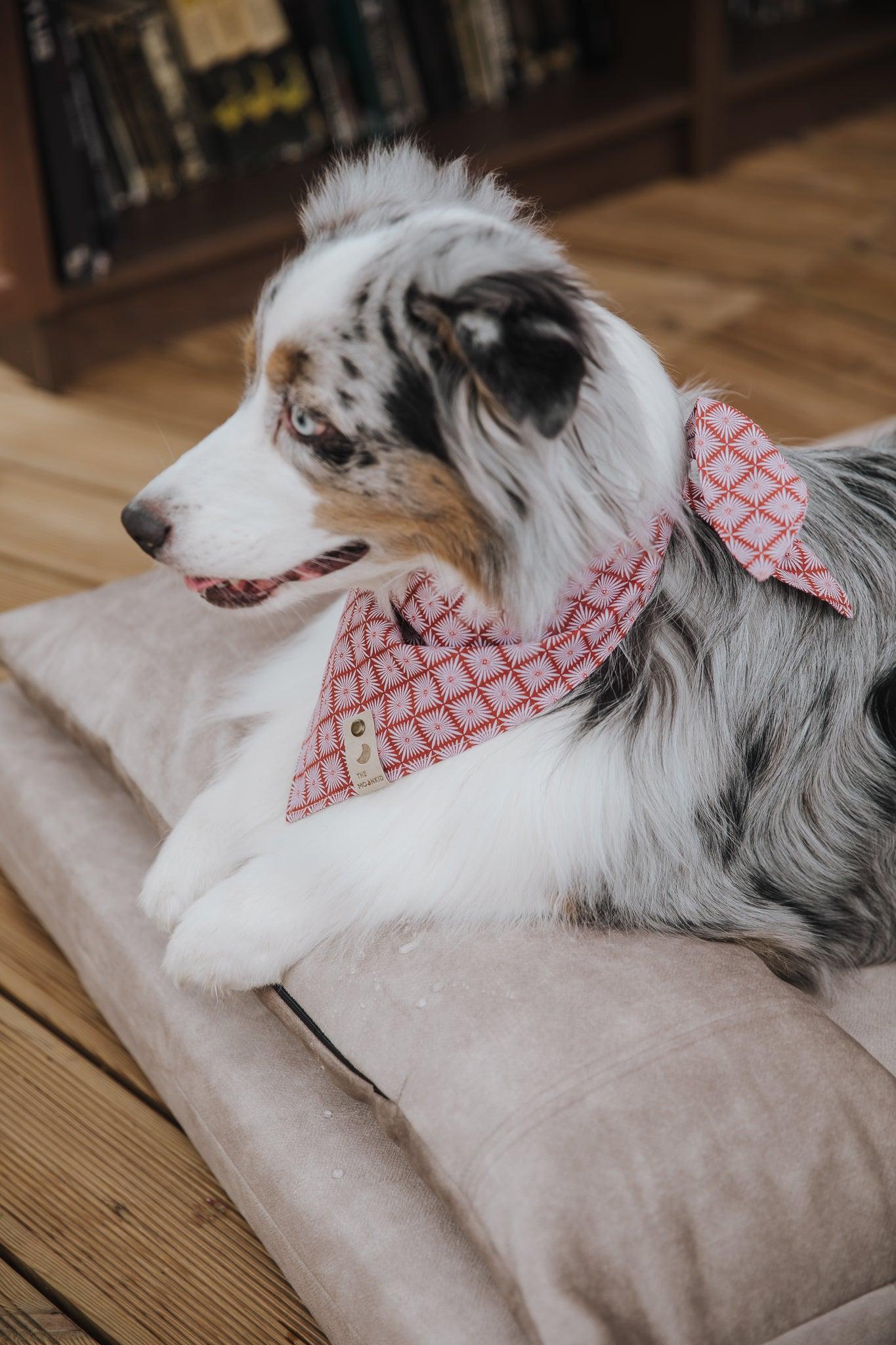 2-sided extra large & supportive dog bed. BEIGE - premium dog goods handmade in Europe by My Wild Other