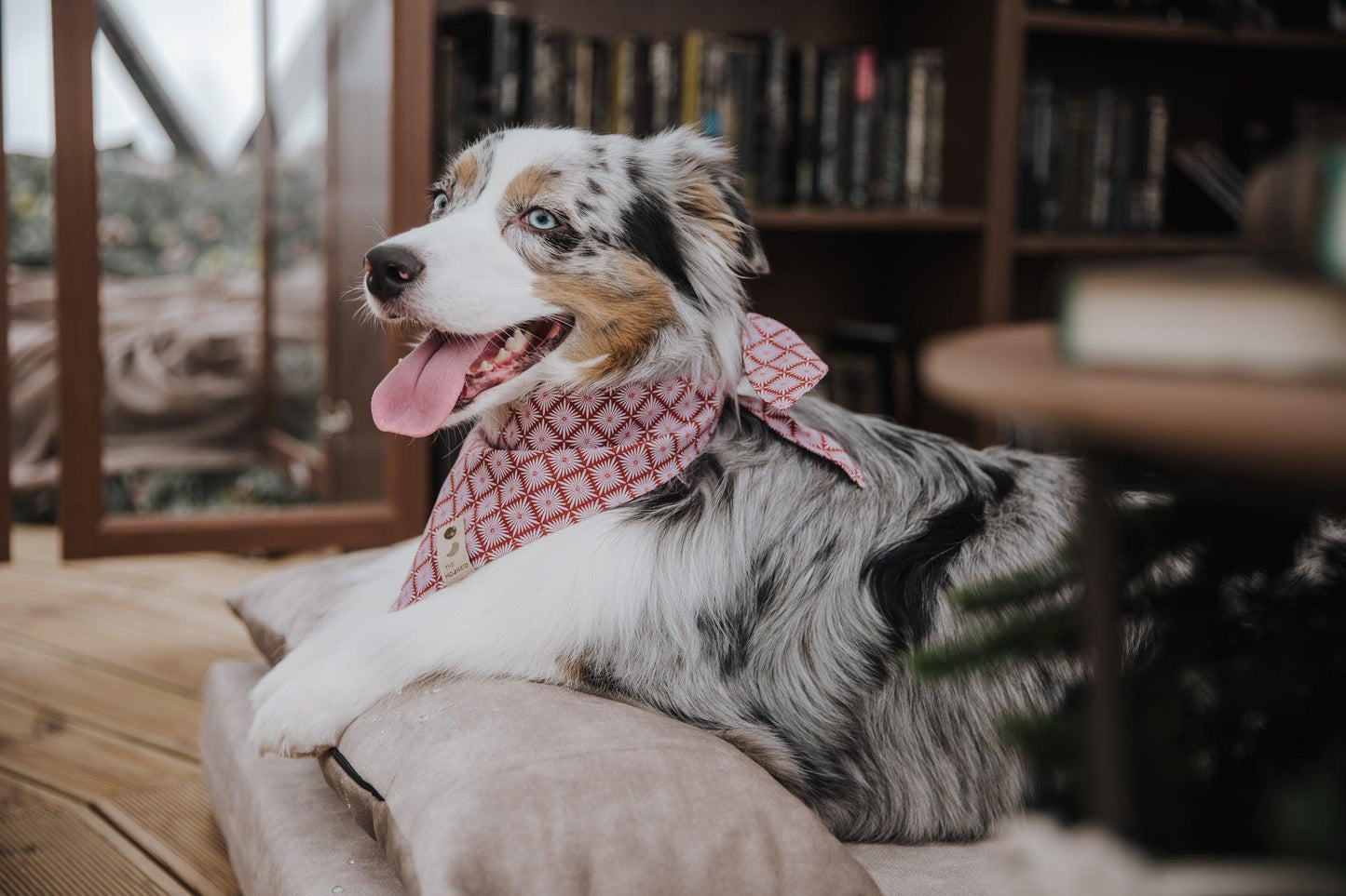 2-sided extra large & supportive dog bed. BEIGE - premium dog goods handmade in Europe by My Wild Other