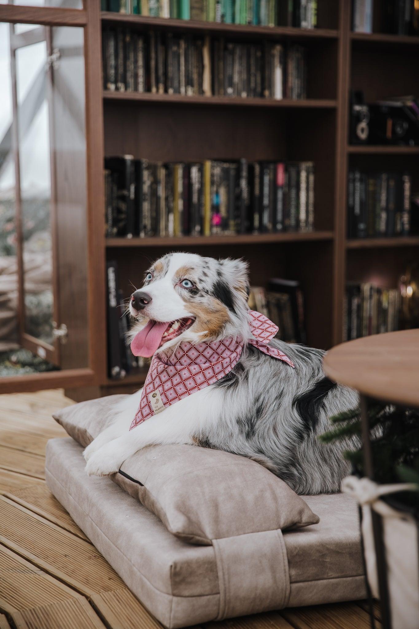 2-sided extra large & supportive dog bed. BEIGE - premium dog goods handmade in Europe by My Wild Other