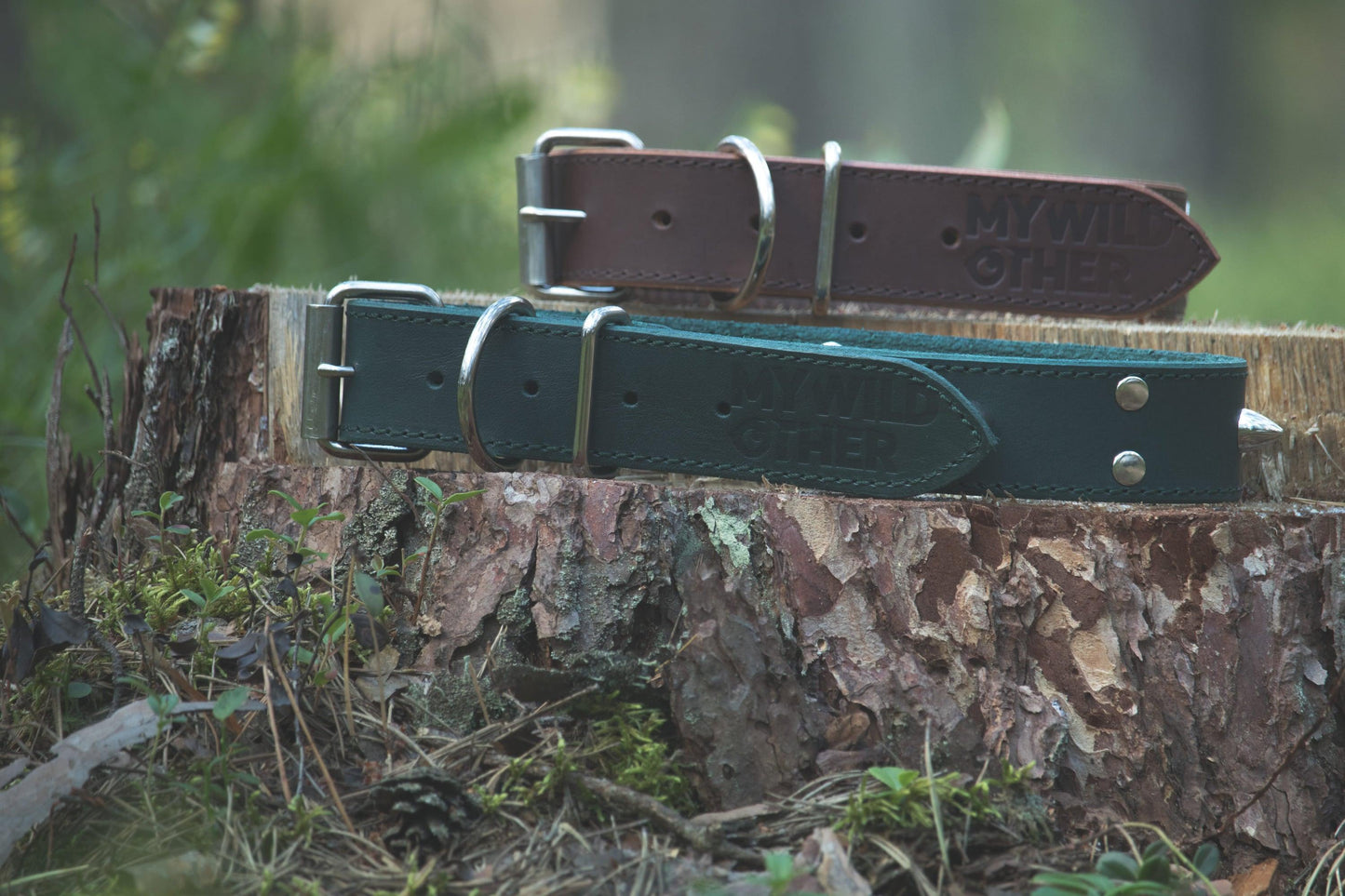 Handmade green leather STUDDED dog collar | animalistus