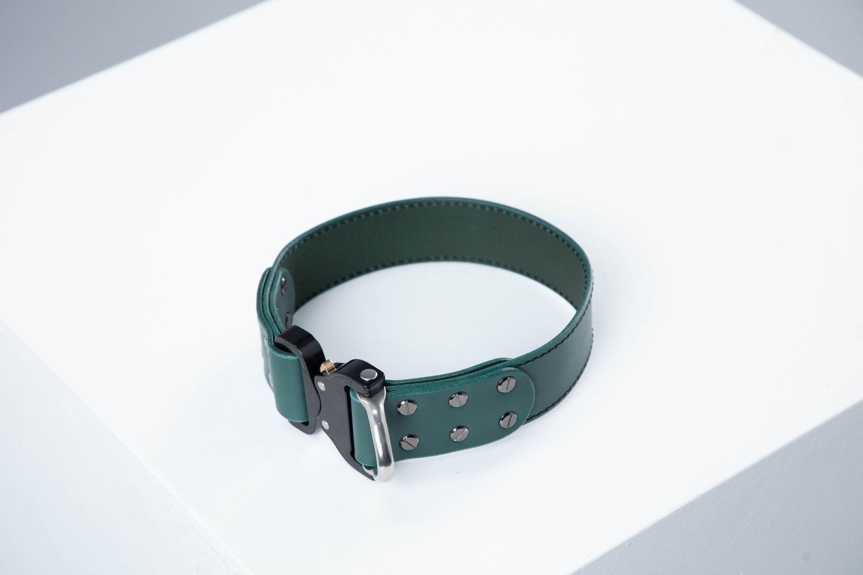 Green leather dog collar with COBRA® buckle - premium dog goods handmade in Europe by animalistus