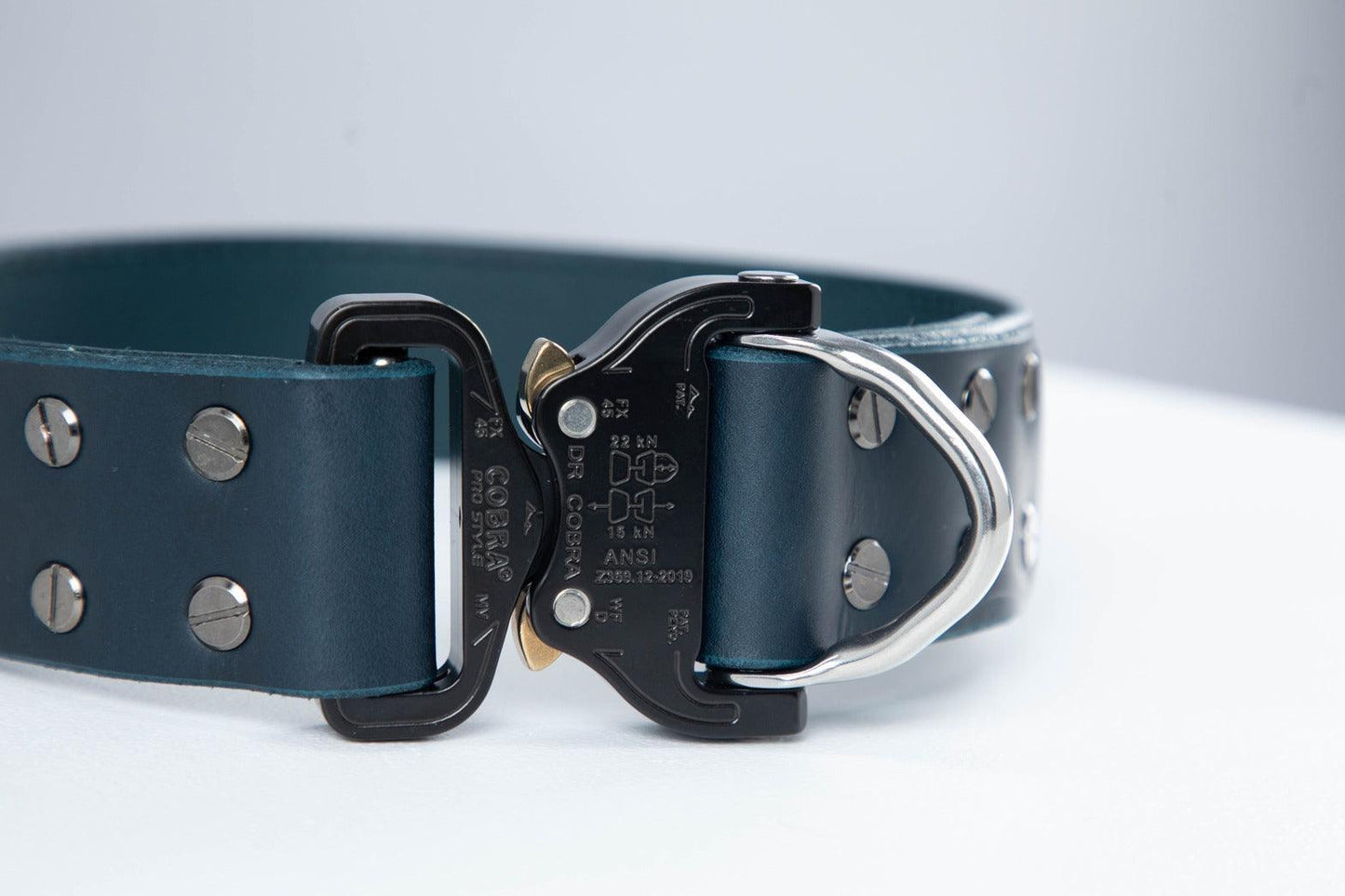 Blue leather dog collar with COBRA® buckle | animalistus