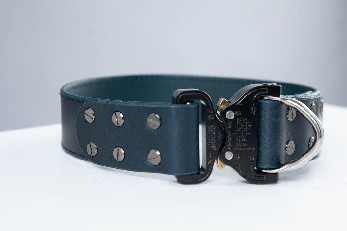 Blue leather dog collar with COBRA® buckle | animalistus