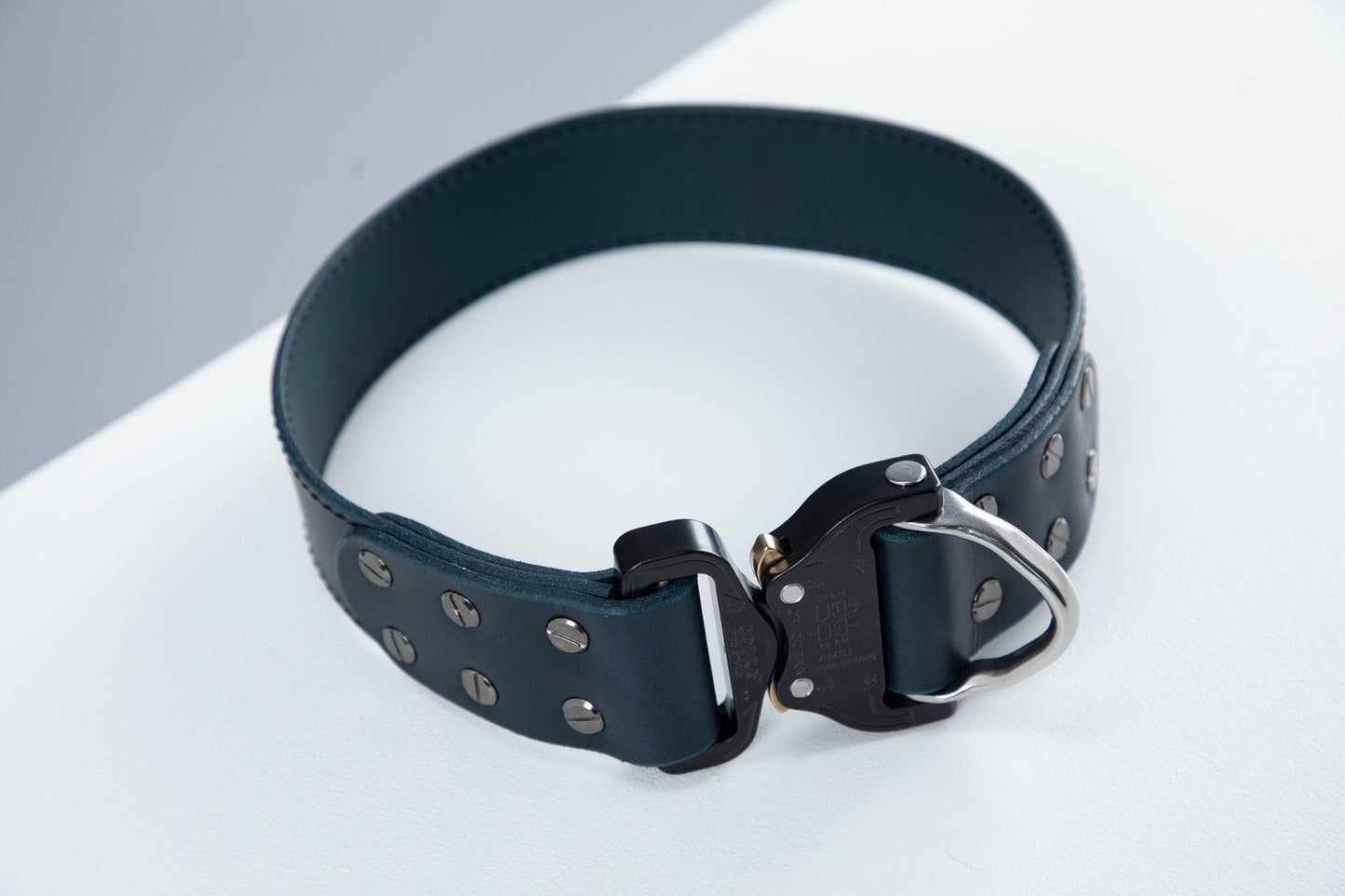 Blue leather dog collar with COBRA® buckle | animalistus