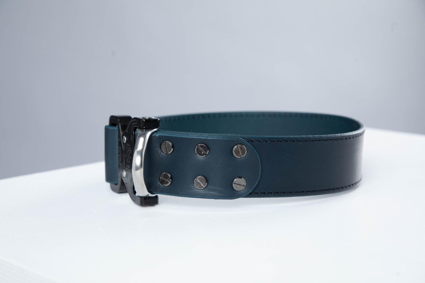 Blue leather dog collar with COBRA® buckle | animalistus