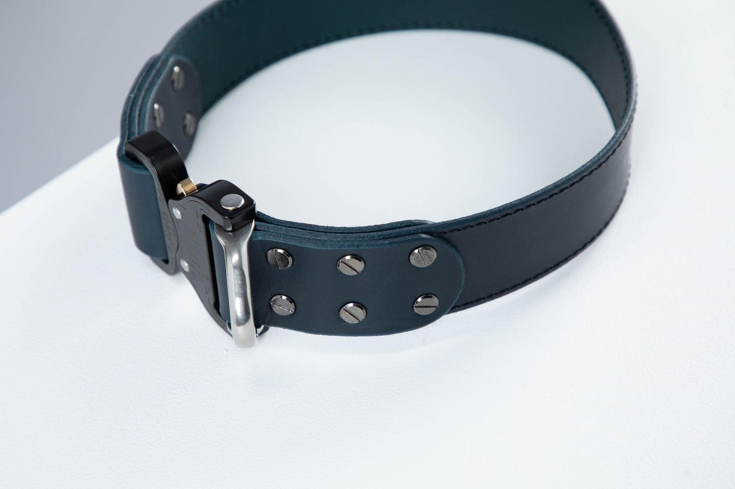 Blue leather dog collar with COBRA® buckle | animalistus