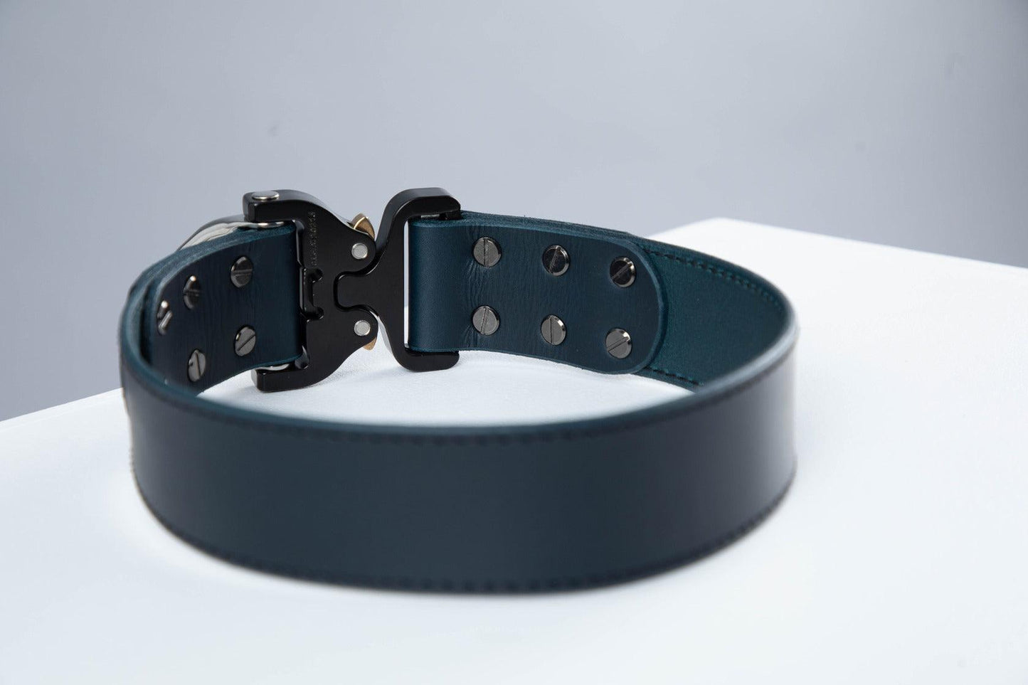 Blue leather dog collar with COBRA® buckle - premium dog goods handmade in Europe by animalistus
