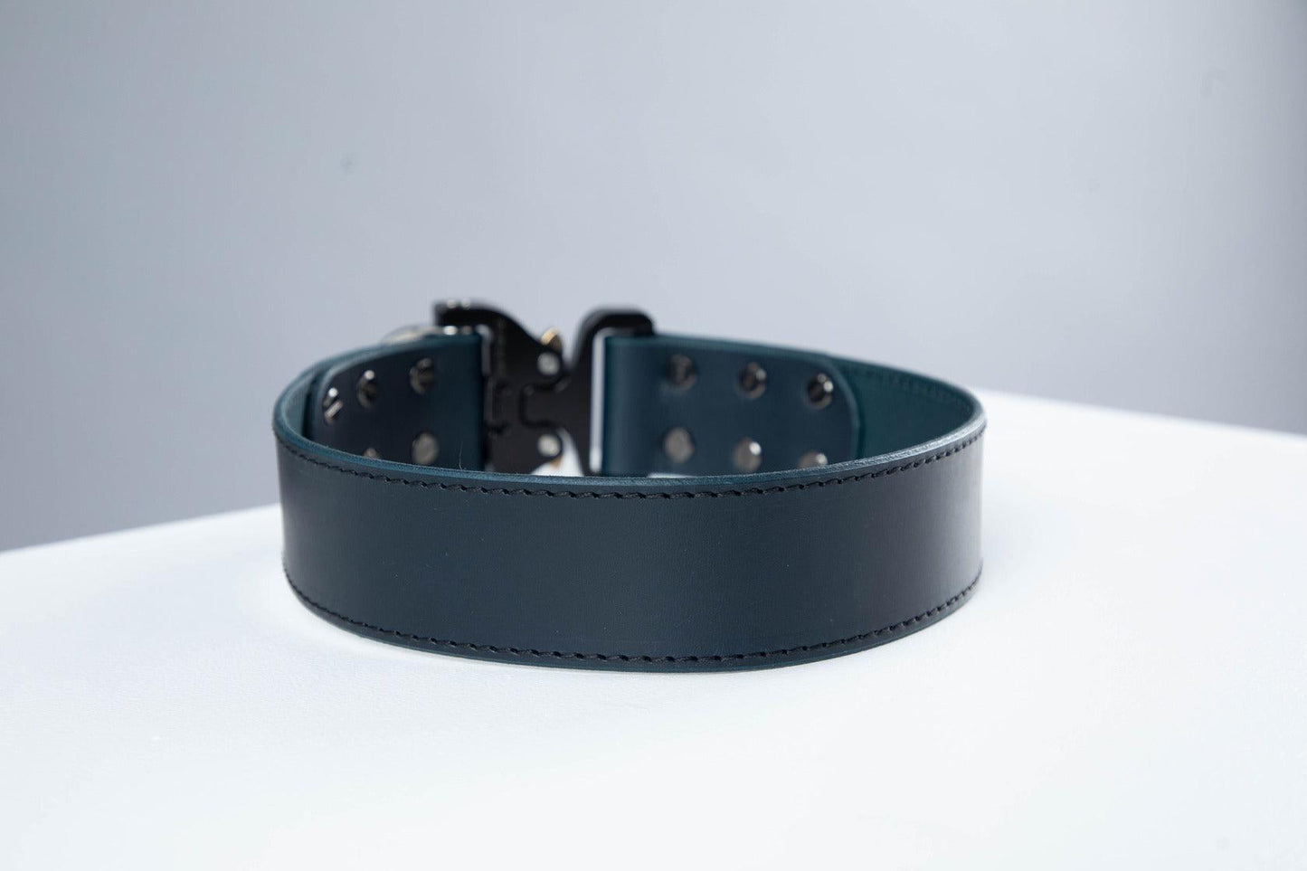 Blue leather dog collar with COBRA® buckle | animalistus