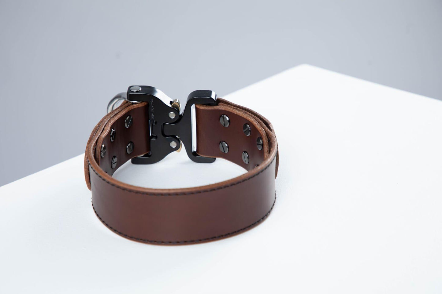 Brown leather dog collar with COBRA® buckle - premium dog goods handmade in Europe by animalistus