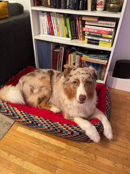 Modern dog bed with sides | 2-sided | CHECKERED + RED - premium dog goods handmade in Europe by animalistus