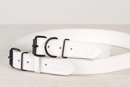 Handmade white leather dog collar - premium dog goods handmade in Europe by animalistus