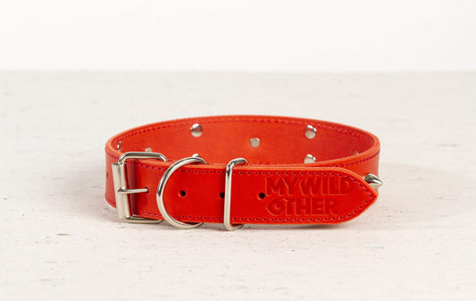 Handmade red leather STUDDED dog collar - premium dog goods handmade in Europe by animalistus
