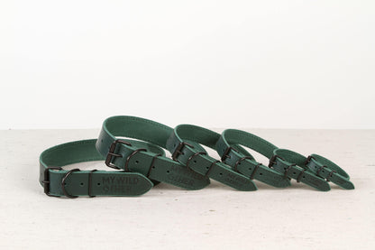 Handmade green leather dog collar - premium dog goods handmade in Europe by animalistus