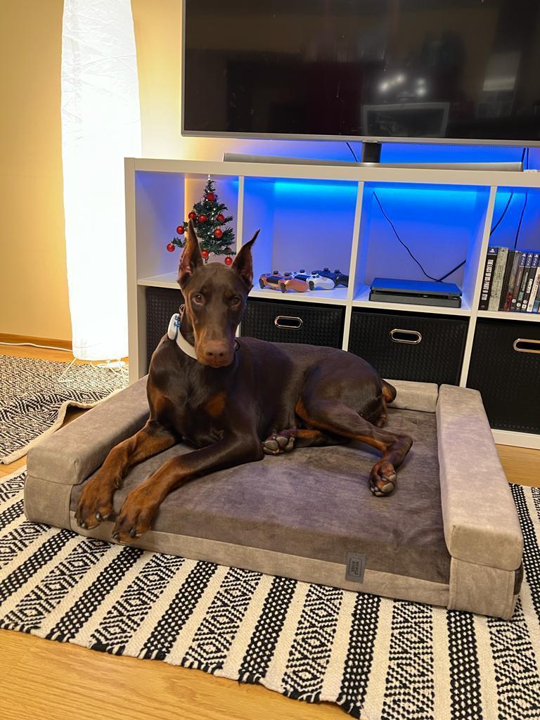 2-sided transformer dog bed. BEIGE+TAUPE - premium dog goods handmade in Europe by My Wild Other