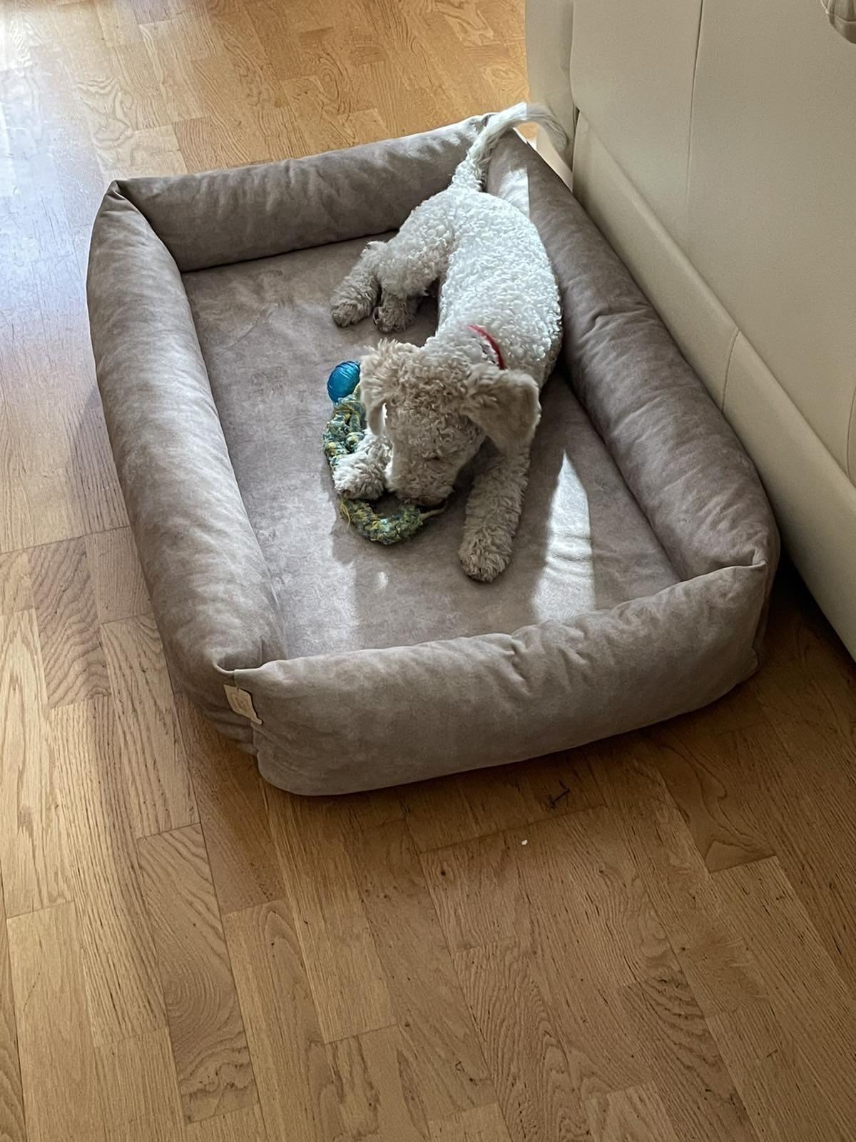 2-sided dog bed with sides. BEIGE - premium dog goods handmade in Europe by My Wild Other