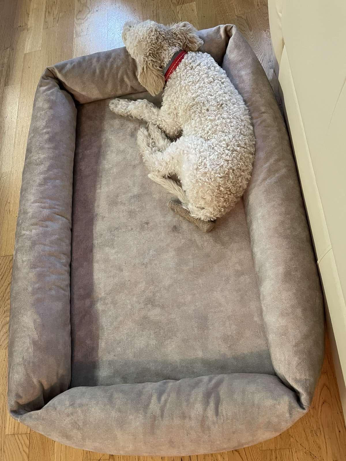 2-sided dog bed with sides. BEIGE - premium dog goods handmade in Europe by My Wild Other