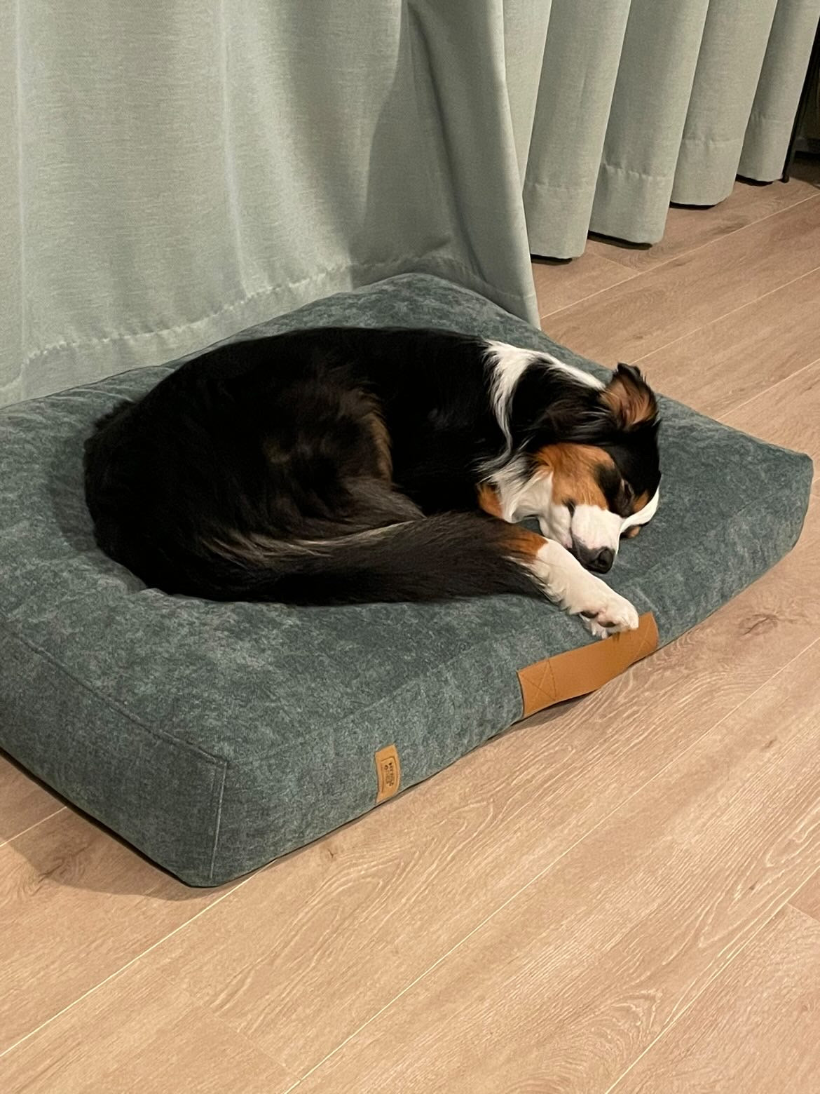 Scandinavian design dog bed | 2-sided | JUNGLE GREEN