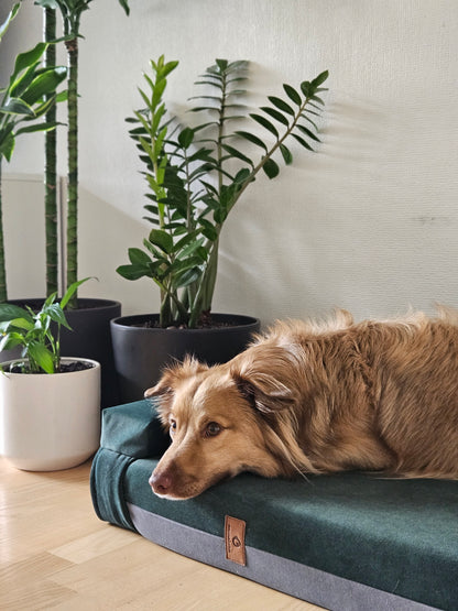 MOSS GREEN+STEEL GREY dog bed | 2-sided | Transformer