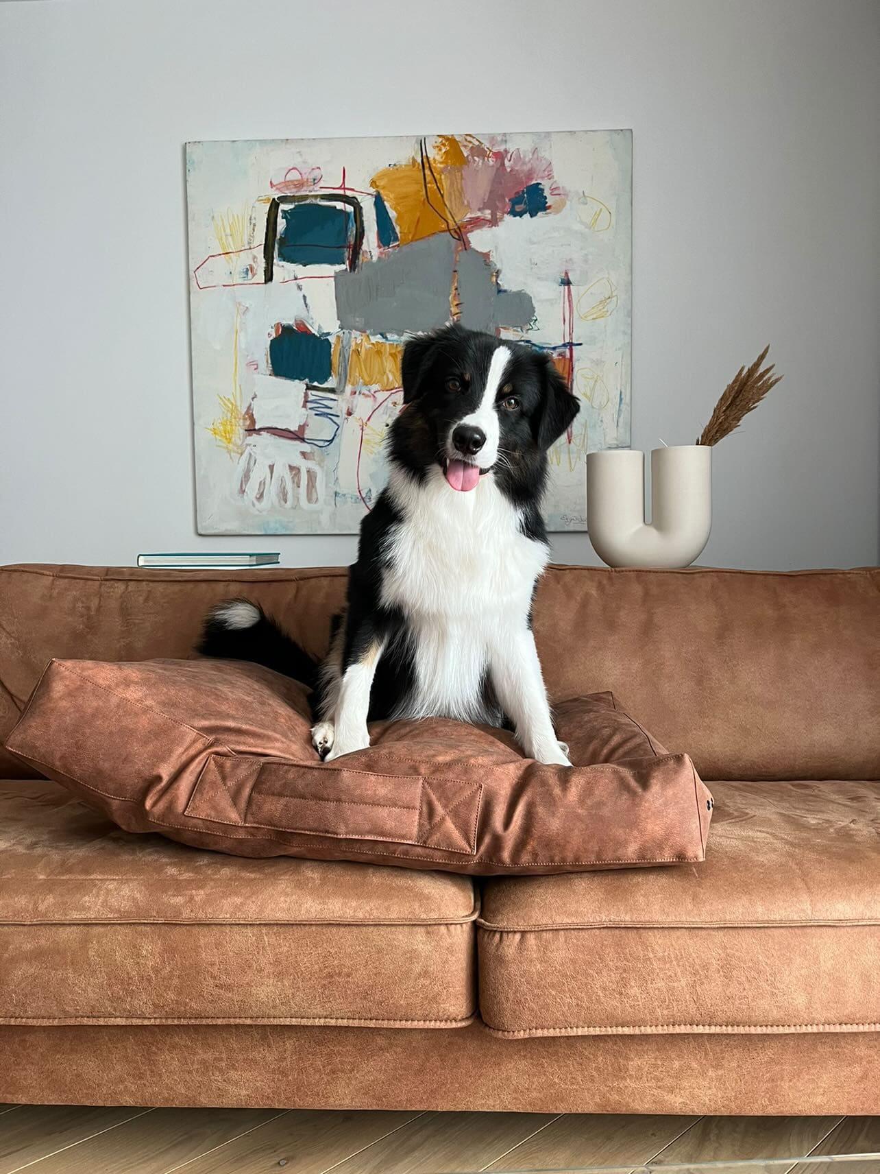 2-sided leather dog cushion bed. TAWNY BROWN - premium dog goods handmade in Europe by My Wild Other