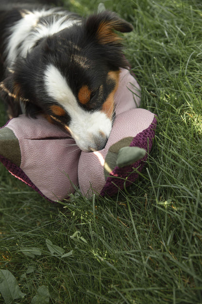 Interactive dog toy SUPERSNOOT Onion. Handmade, 6 pockets - premium dog goods handmade in Europe by My Wild Other