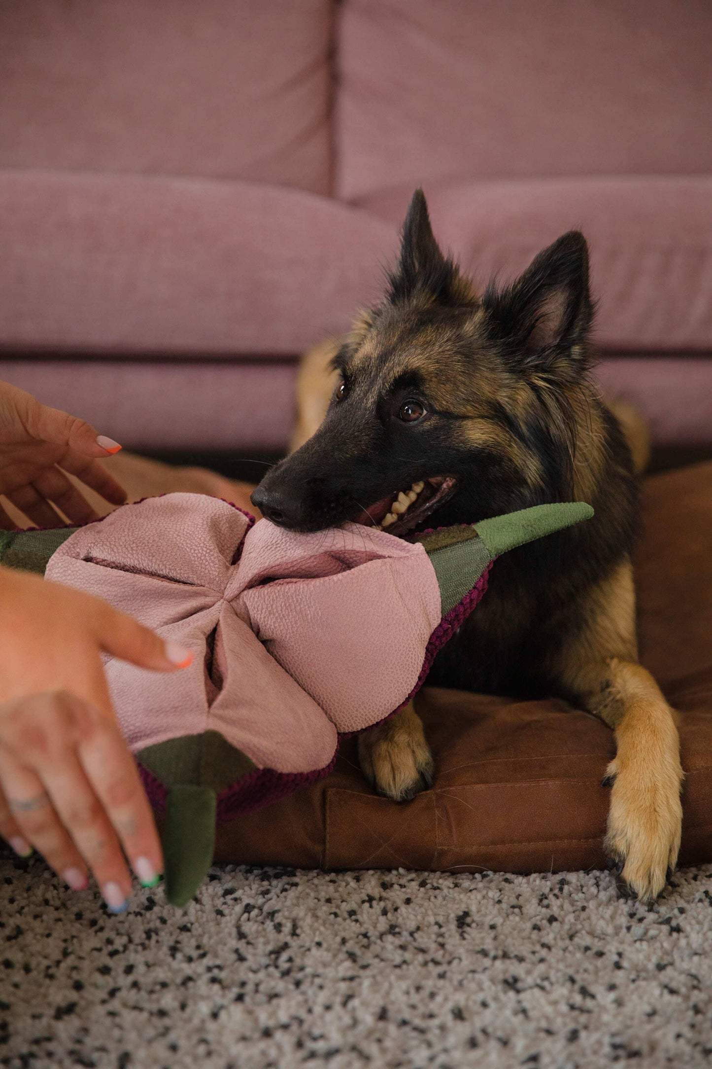 Interactive dog toy | SUPERSNOOT Onion | Handmade | 3 pockets | animalistus