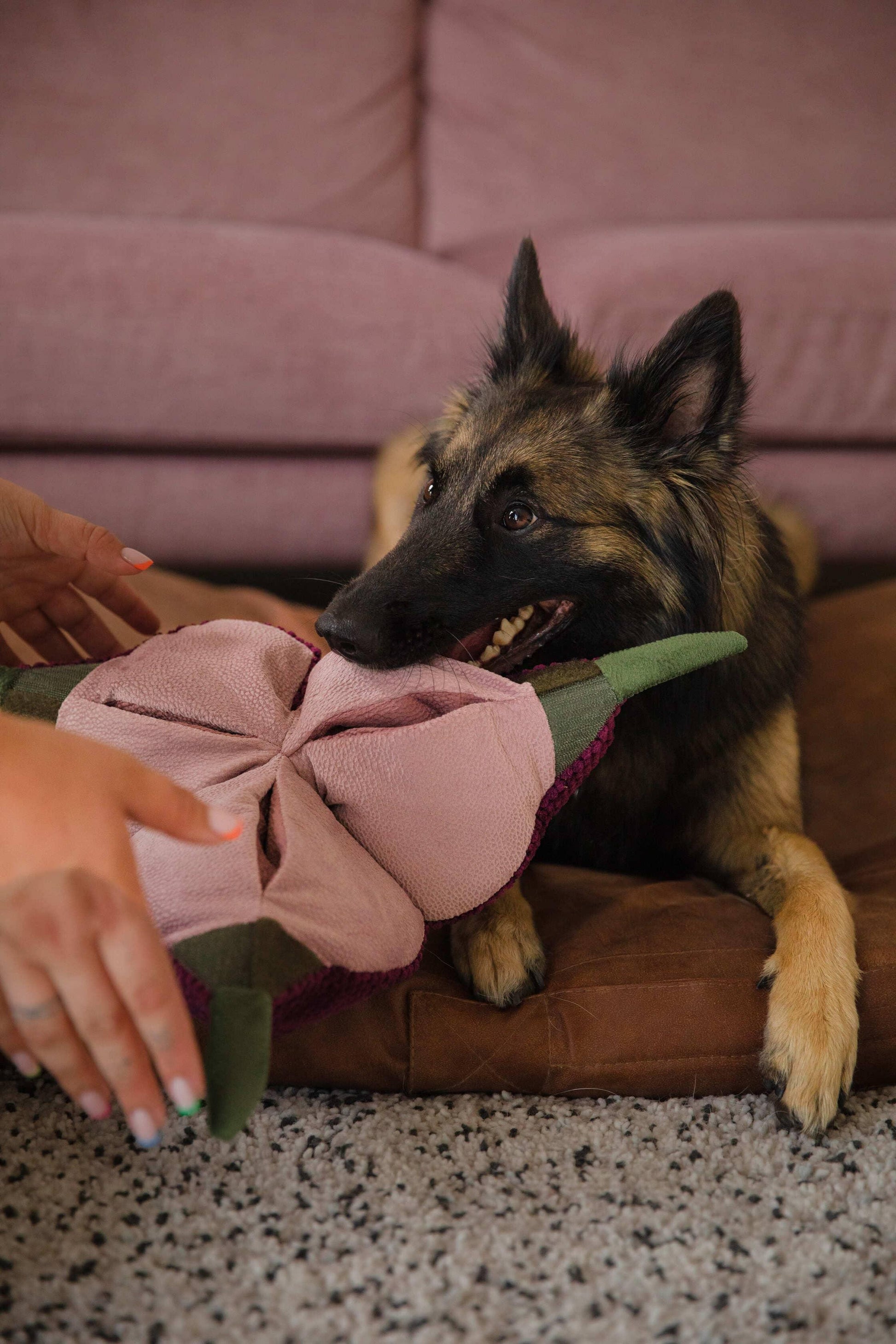 Interactive dog toy SUPERSNOOT Onion. Handmade, 6 pockets - premium dog goods handmade in Europe by My Wild Other