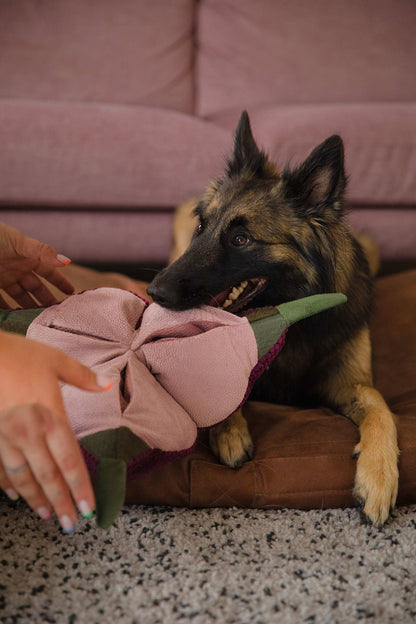 Interactive dog toy SUPERSNOOT Onion. Handmade, 6 pockets - premium dog goods handmade in Europe by My Wild Other