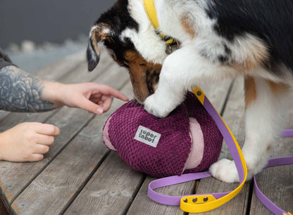 Interactive dog toy SUPERSNOOT Onion. Handmade, 6 pockets - premium dog goods handmade in Europe by My Wild Other