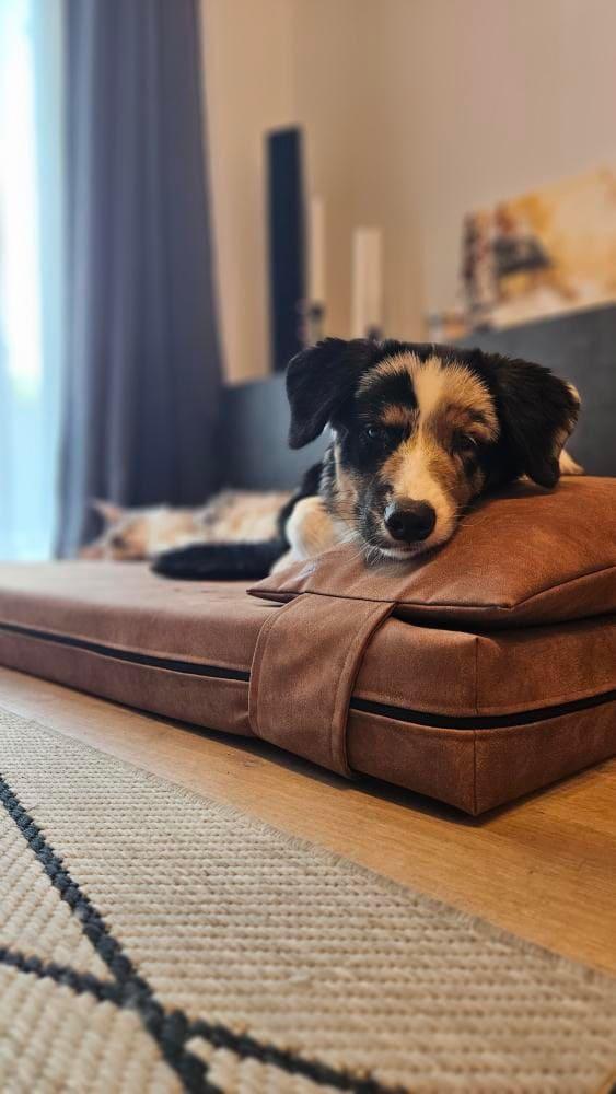 2-sided extra large & supportive leather dog bed. TAWNY BROWN - premium dog goods handmade in Europe by My Wild Other