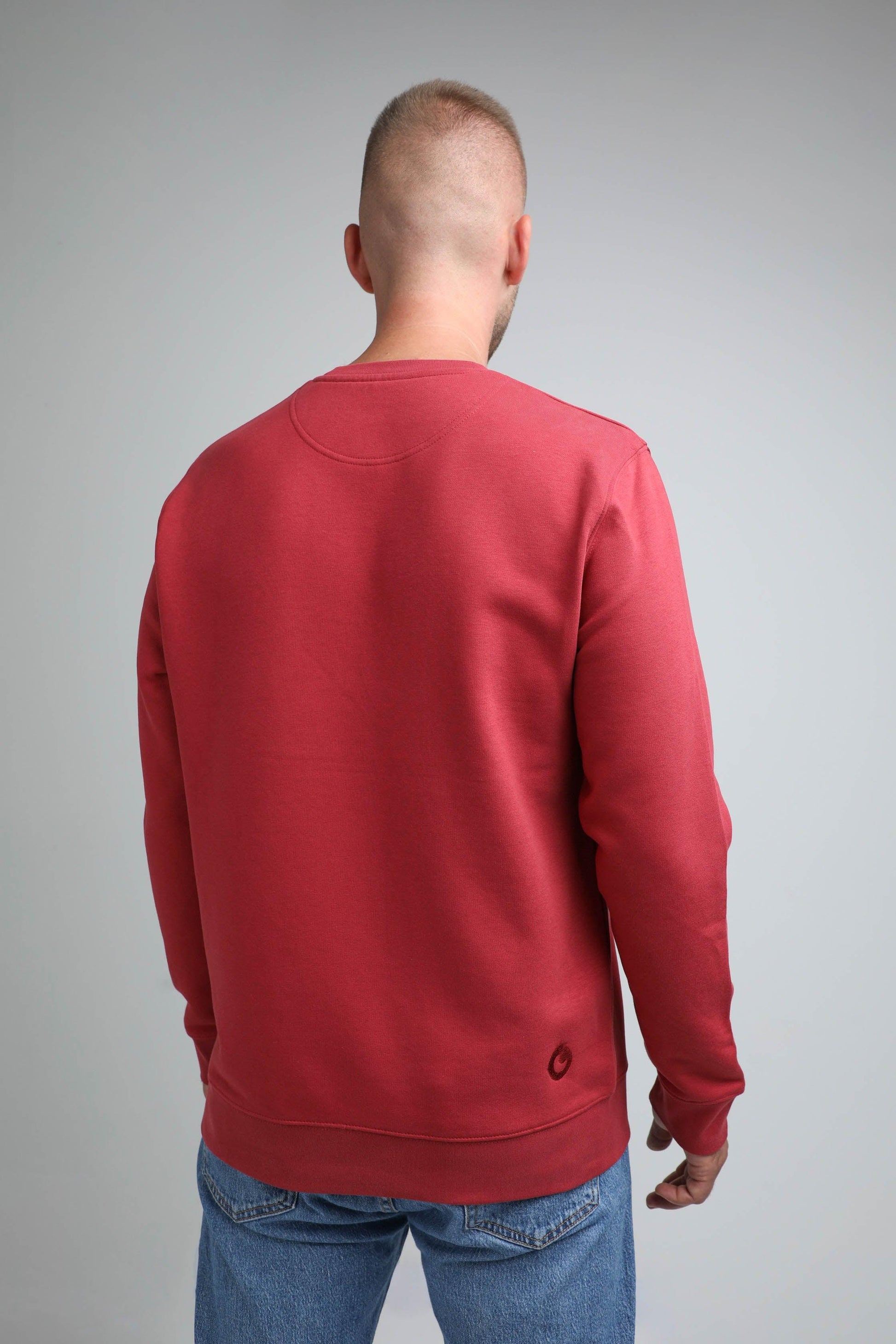 XL available only | Cat | Crew neck sweatshirt with embroidered cat. Regular fit | Unisex | animalistus