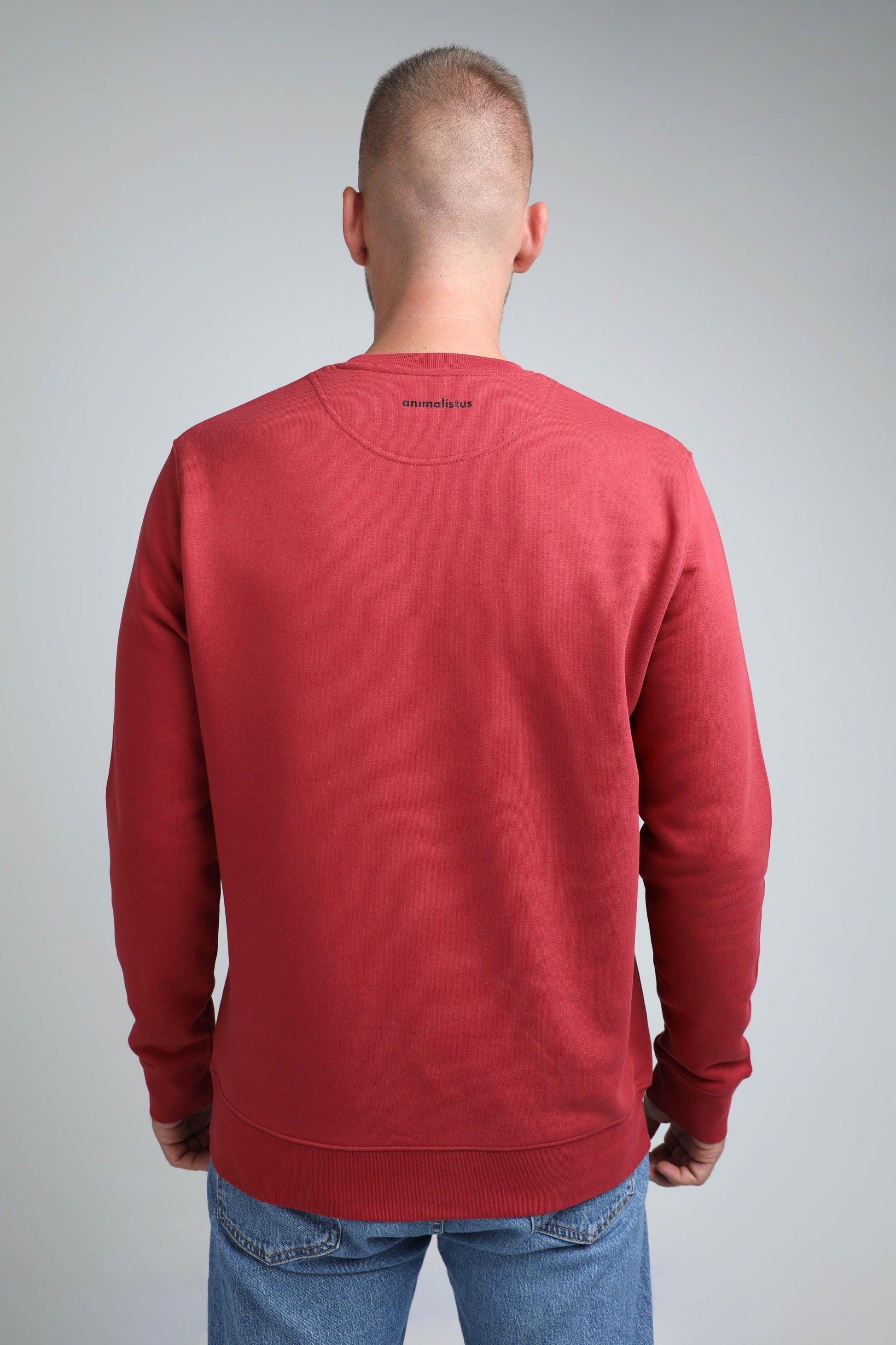 Sofa destroyer dog | Crew neck sweatshirt with dog. Regular fit | Unisex | animalistus