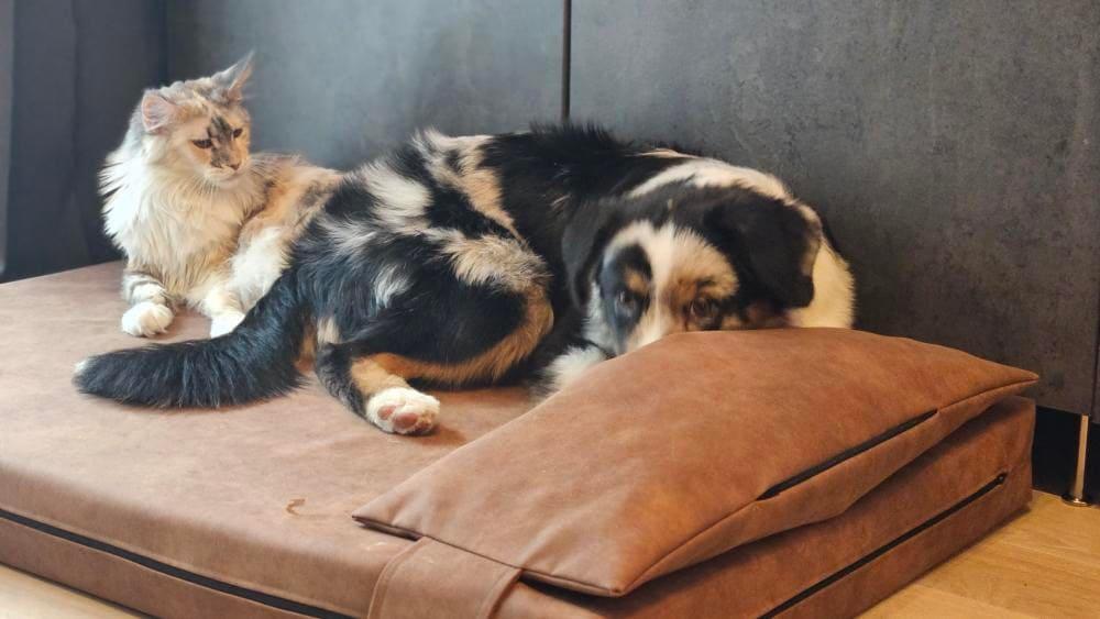2-sided extra large & supportive leather dog bed. TAWNY BROWN - premium dog goods handmade in Europe by My Wild Other