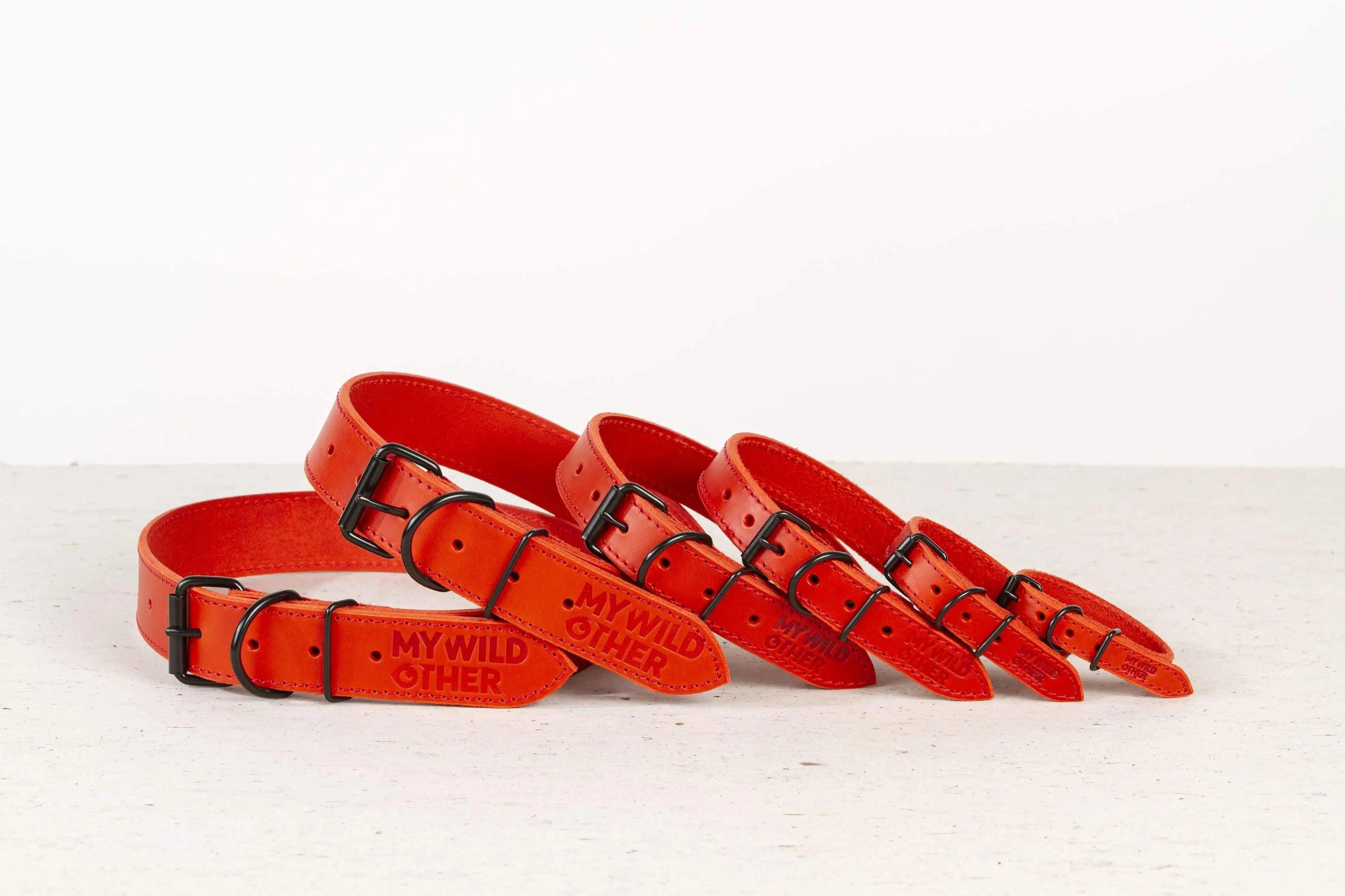 Minimal dog collar hotsell