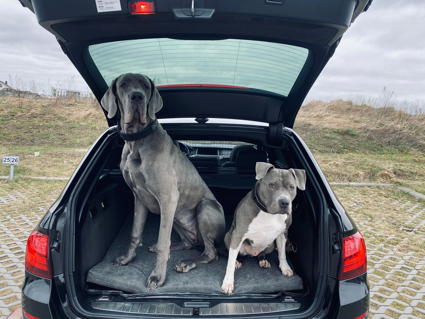 Dog crate mattress | Travel dog bed | 2-sided | Water resistant | IRON GREY