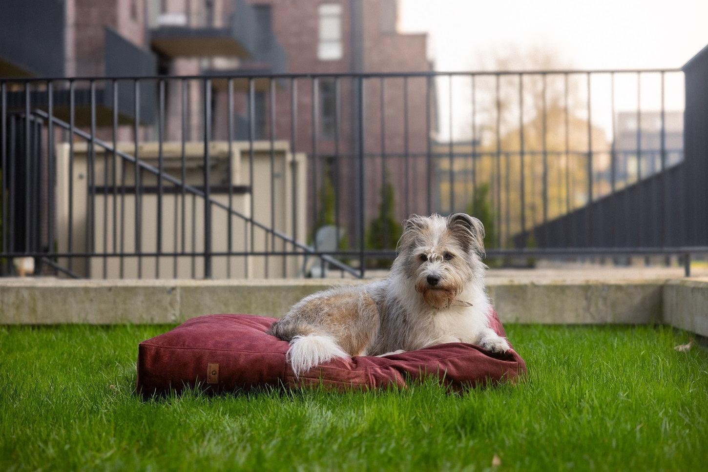Dog cushion bed | LuxSoft | 2-sided | TERRACOTTA | animalistus