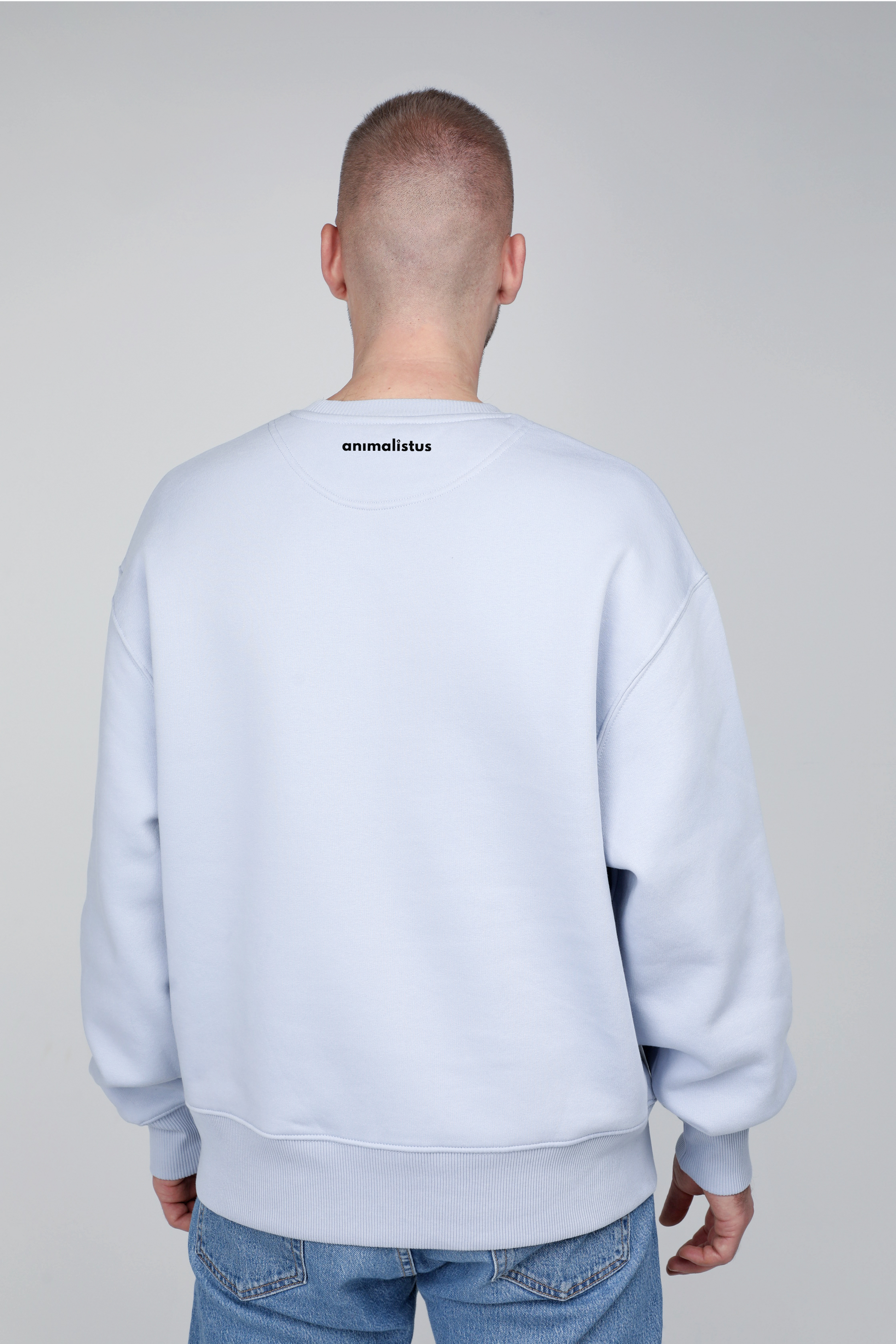 Sofa destroyer dog | Crew neck sweatshirt with dog. Oversize fit | Unisex | animalistus