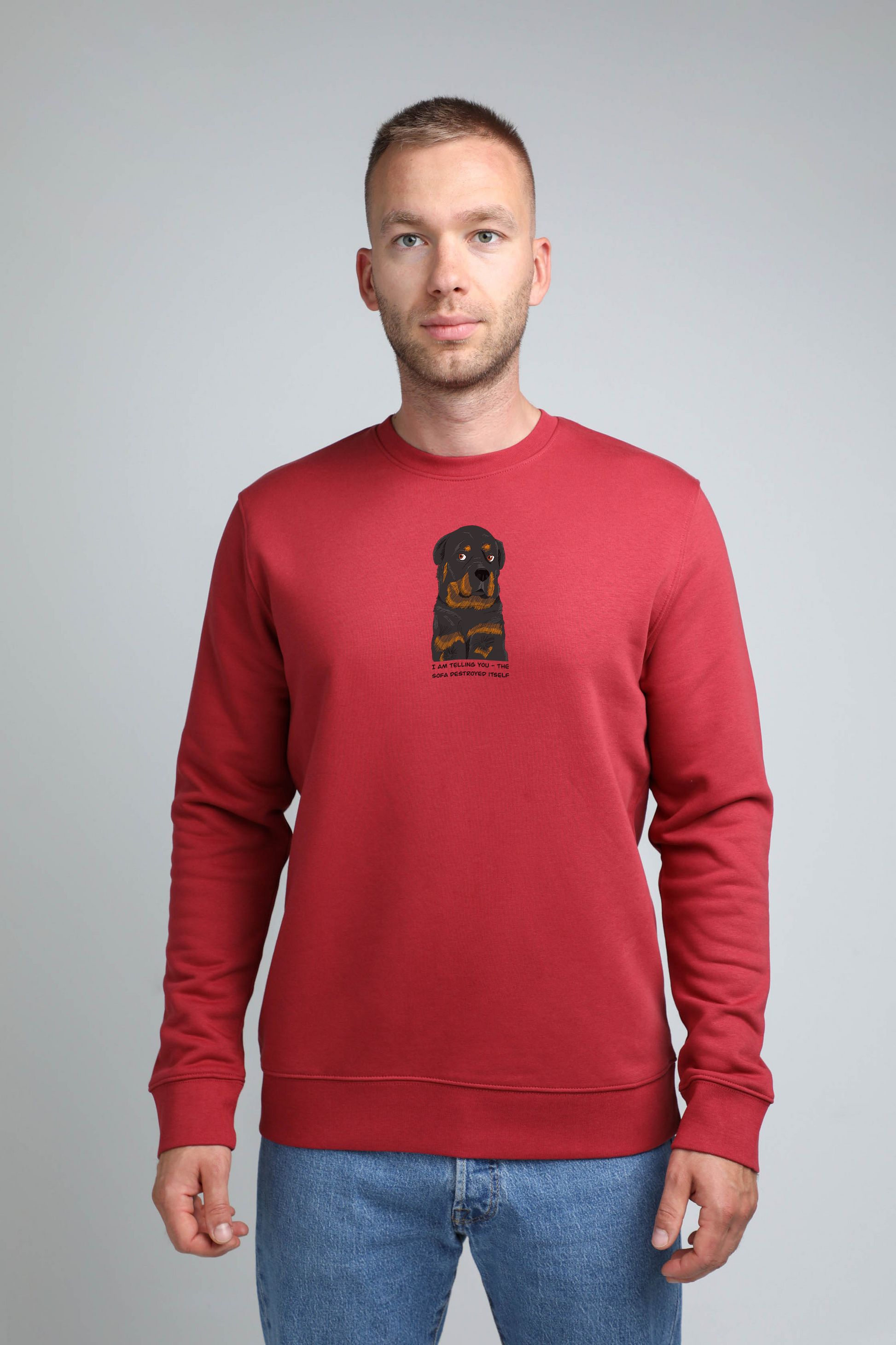 Sofa destroyer dog | Crew neck sweatshirt with dog. Regular fit | Unisex | animalistus