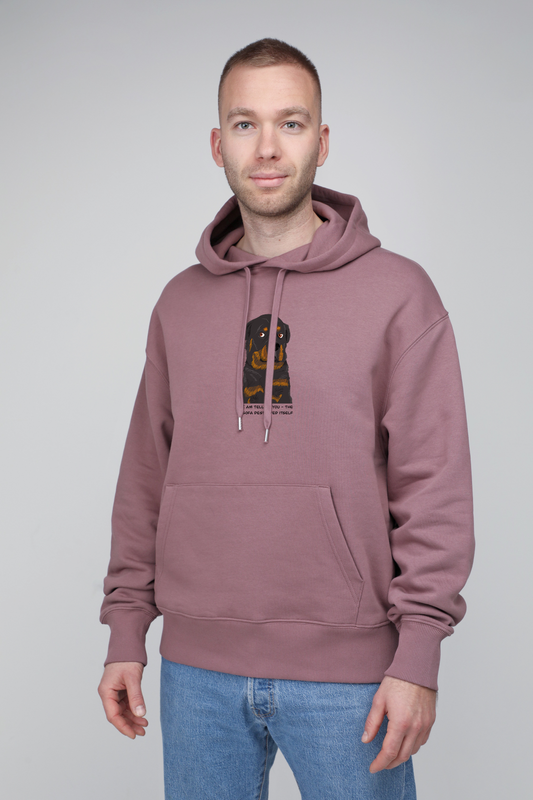 Sofa destroyer dog | Hoodie with dog. Oversize fit | Unisex | animalistus